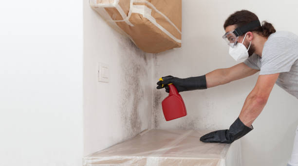 Professional Crawl Space Mold Removal technician working in Aspers, PA